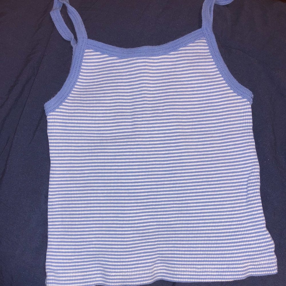 Brandy Melville blue striped tank top crop